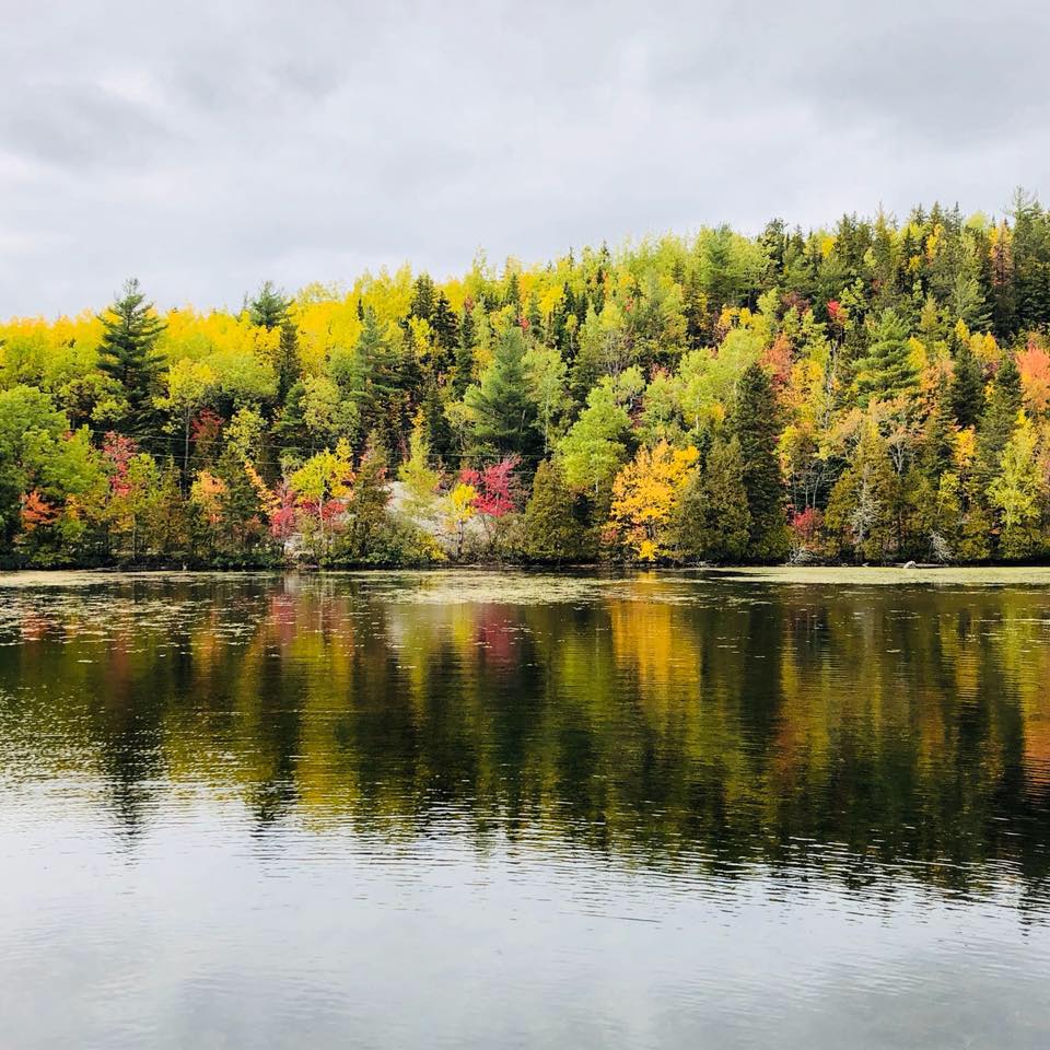 Les couleurs automnales se reflétant dans le lac